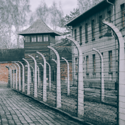 Auschwitz Birkenau